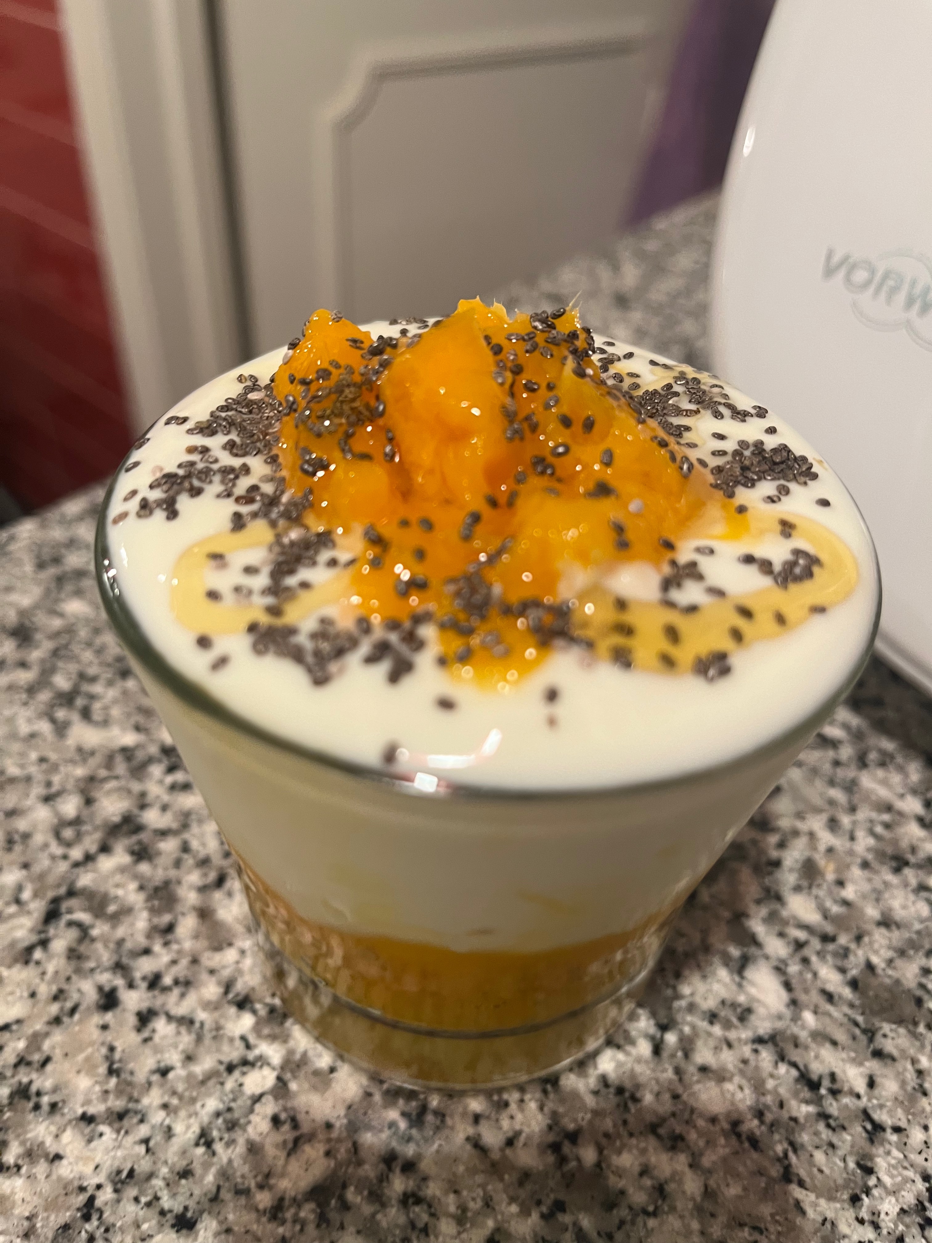 Mousse protéinée à la mangue